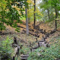 Нелёгкая дорога к роднику :: Татьяна Машошина