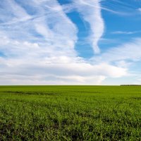 Пейзаж :: Владимир Иванович