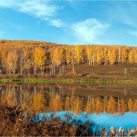 **** :: Алексей Мезенцев **** :: Алексей Мезенцев