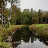 Осенний Павловск :: Наталья Герасимова