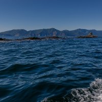 ... :: Жора Житников