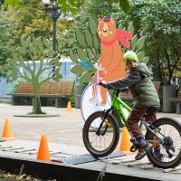 ВЕЛОФЕСТИВАЛЬ_27_09_25 (14) :: Сергей Янович Микк