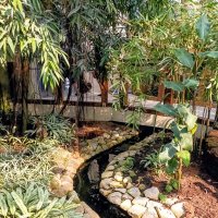 В павильоне Тропического леса :: Veera V