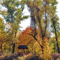 Осень :: Светлана Ищенко