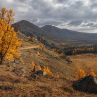 Алтайская осень :: Sergey38 
