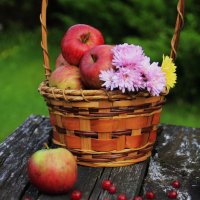 Прекрасного дня ! :: Татьян@ Ивановна Прекрасного дня ! :: Татьян@ Ивановна