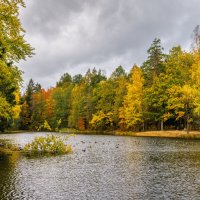 Про Питер :: Владимир Колесников