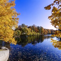 Осень на Елагином :: Евгений Осень на Елагином :: Евгений