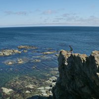 Путешествие на мыс Великан и Птичий. :: Ирина Нафаня
