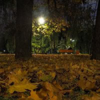 Осеннний Вечер в Городе :: юрий поляков