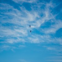 Воздушный бой (серия) :: Михаил 