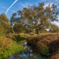 Осень достала краски :: Андрей Дворников