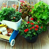 Небольшой украшенный уголок в центре города :: Aida10 Небольшой украшенный уголок в центре города :: Aida10