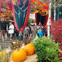 Осень на Манежной площади. :: Владимир Безбородов Осень на Манежной площади. :: Владимир Безбородов