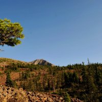 Природа Саян :: Евгений 