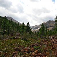 Борус :: Евгений 