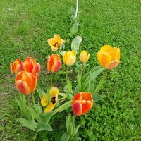 это было недавно----------- :: Владимир это было недавно----------- :: Владимир