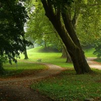 Осени начало :: Юрий. Шмаков Осени начало :: Юрий. Шмаков
