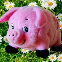 Мягкая игрушка (обработка вариант 2) :: Игорь Тельцов