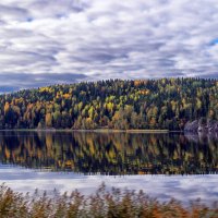 разноцветье..... :: Ольга Cоломатина