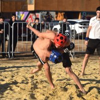 Поединок на песке :: Александр Гриднев