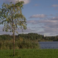 Начало осени :: VL 