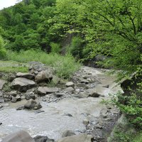 Горная речушка :: Марина Виноградова