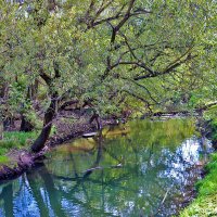 На речке Песочной в начале осени :: Светлана На речке Песочной в начале осени :: Светлана