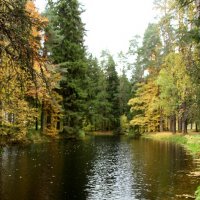 Однажды :: Наталья Герасимова