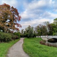 Осень :: Сапсан 