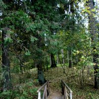 Однажды :: Наталья Герасимова Однажды :: Наталья Герасимова