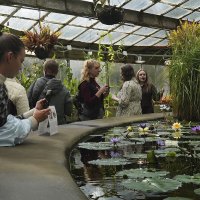 *** :: Александр Русинов