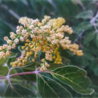 Замороженный :: AZ east3