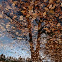 Осень :: Регина 