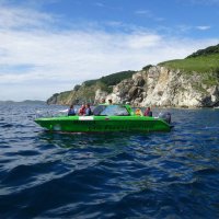 Японское море. Залив Петра Великого :: Лидия Бусурина