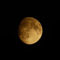 *** :: Иван Литвинов *** :: Иван Литвинов