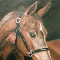 Конь :: Георгиевич Конь :: Георгиевич