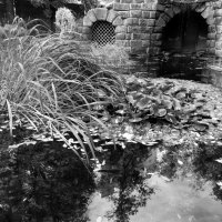 Грот :: Лариса Корж Грот :: Лариса Корж