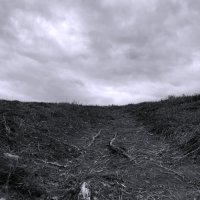 А что там, дальше ? :: Лариса Корж