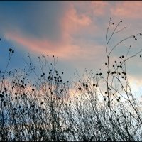 Осень :: **** vedin