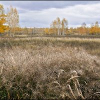 Осень :: **** vedin