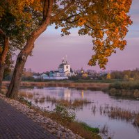 **** :: Елизавета .