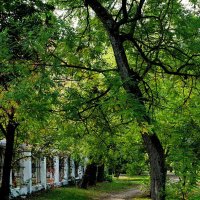 В парке... :: Николай Саржанов