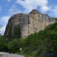 Природа Крыма :: Amazing Cosmea