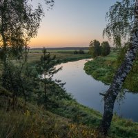 подмосковные вечера :: Алексей Чигвинцев