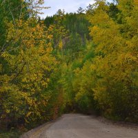 *** :: Мишель71 