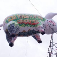 Концерт Р. Уотерса в СПБ, на дворцовой....Свинка перед запуском... :: vadim 