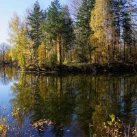 Зеркало Осени :: Наталия Григорьева