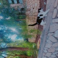 13  ОПЕН (468) :: OPEN WAYS ALL