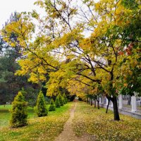 Ботанический сад :: Галина Бобкина